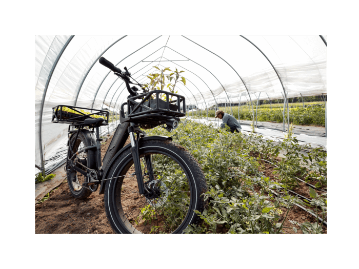 RadRover™ 6 Plus Electric Fat Tire Bike - Image 9