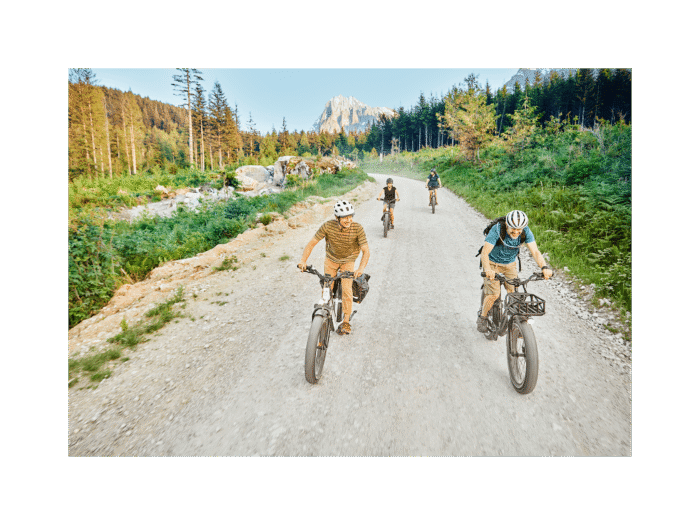 RadRover™ 6 Plus Electric Fat Tire Bike - Image 10